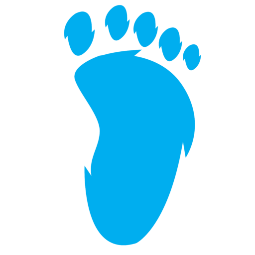 Tarheel Media Digital Marketing Logo